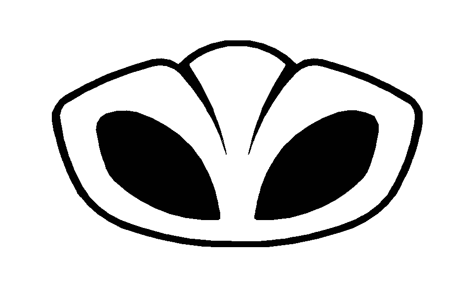 DAEWOO