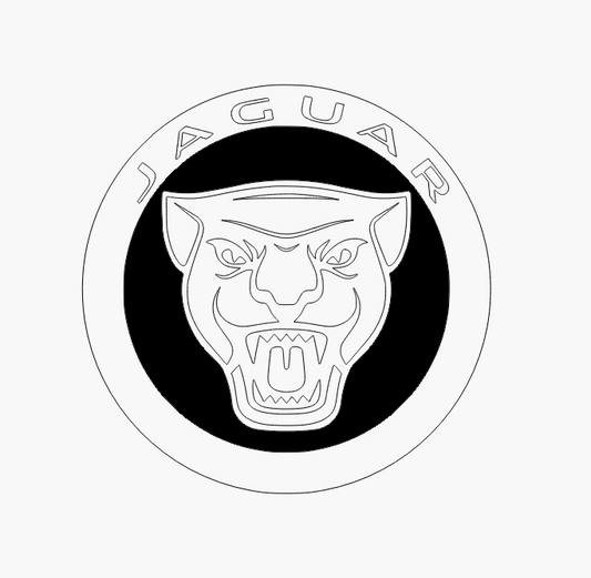 ZAWIESZKA JAGUAR